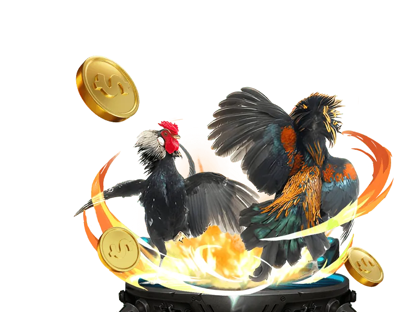 Mẹo Chơi Bắn Cá và Đá Gà